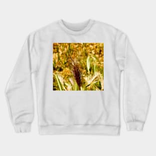 cli wheat Crewneck Sweatshirt